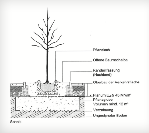 Grafik des Aufbaus einer Baumscheibe