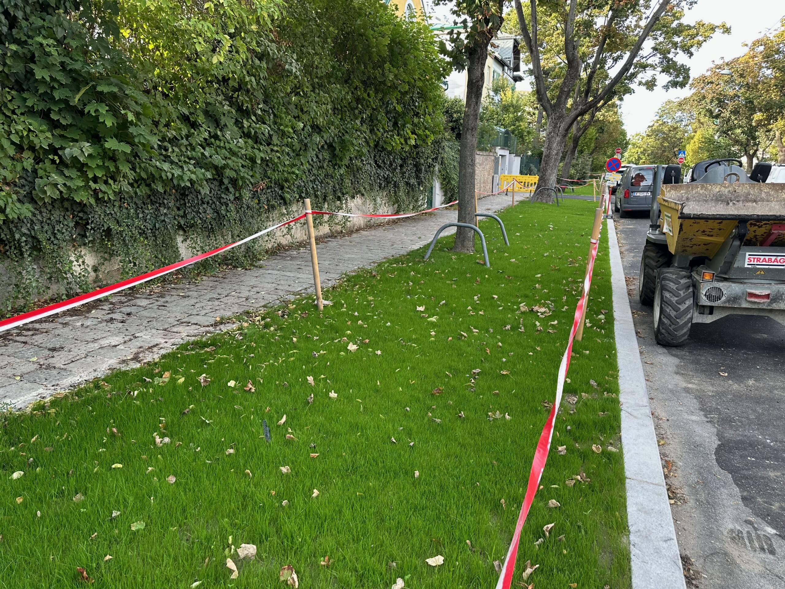 Der Schulvorplatz Wielemannsgasse mit entsiegeltem Grünstreifen in der Alsegger Straße